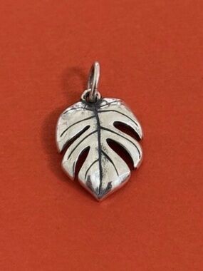 Monstera Leaf Charm